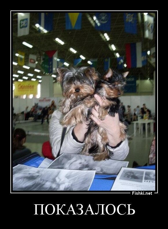Показалось