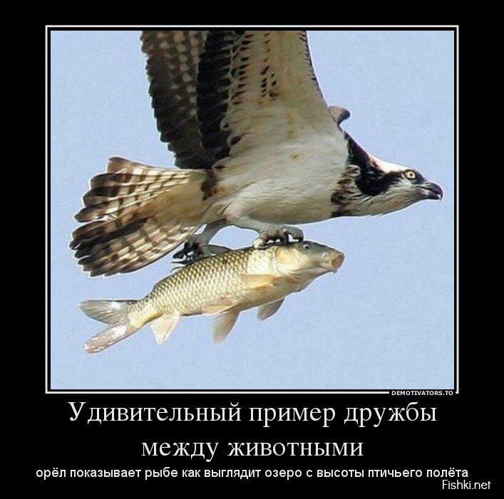 Демотиваторы, часть 374.