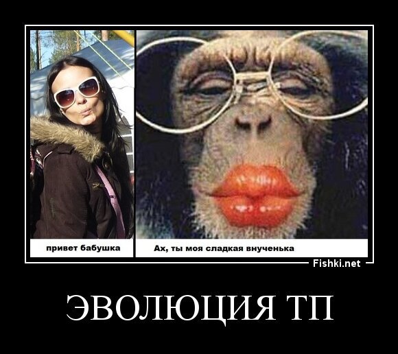 эволюция тп