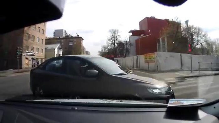 Видео дня
