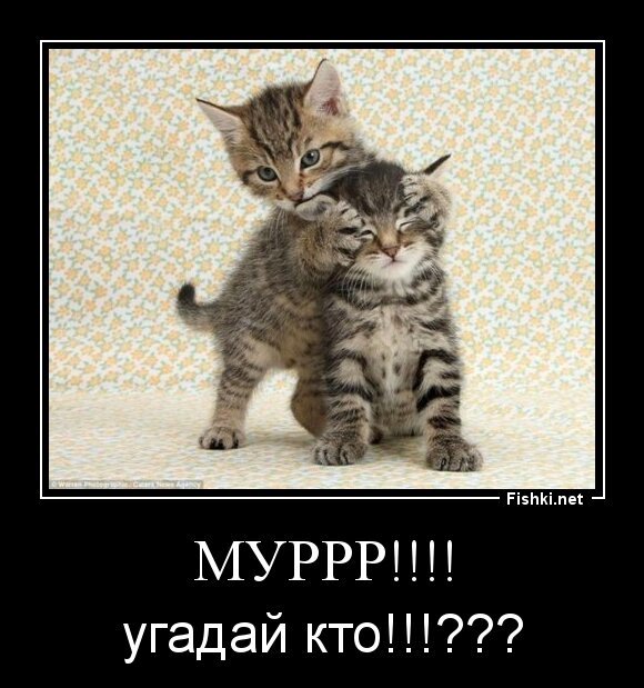 муррр!!!!