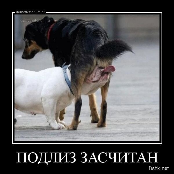 Демотиваторы, часть 375.