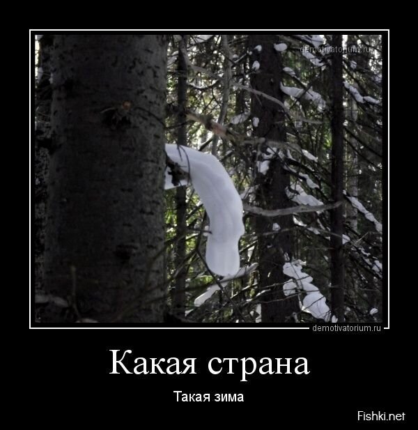 Смешной демотиватор от zubrilov за 08.05.2013 №155529