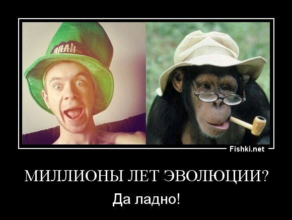 Миллионы лет эволюции?