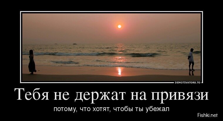 Смешной демотиватор от zubrilov за 15.05.2013 №155817