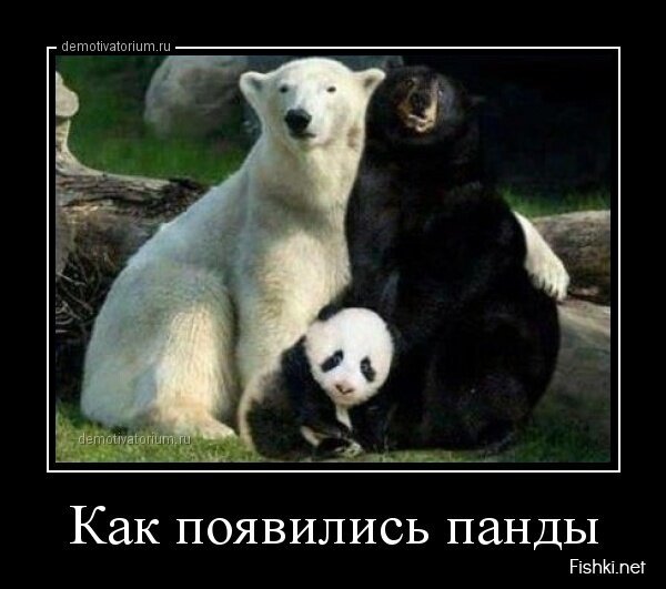 Смешной демотиватор от zubrilov за 15.05.2013 №155837