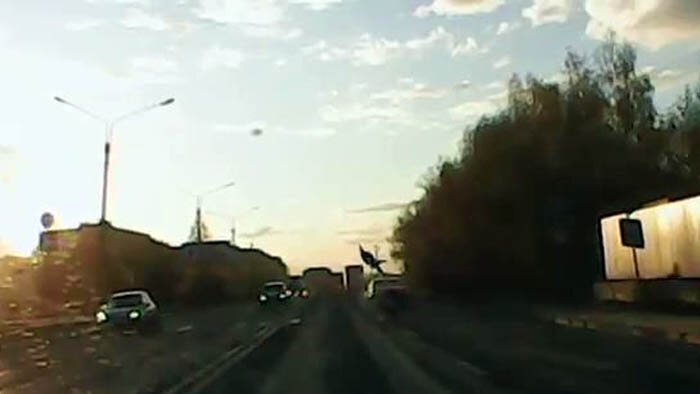 Видео дня