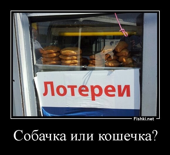Собачка или кошечка?