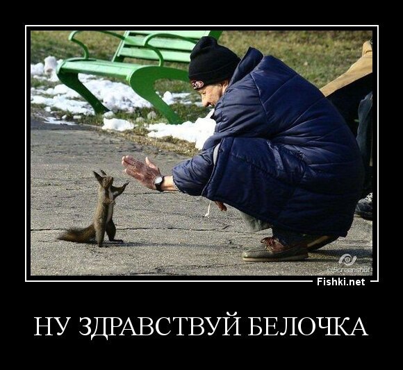 ну здравствуй белочка