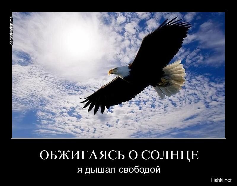 Смешной демотиватор от zubrilov за 20.05.2013 №156381