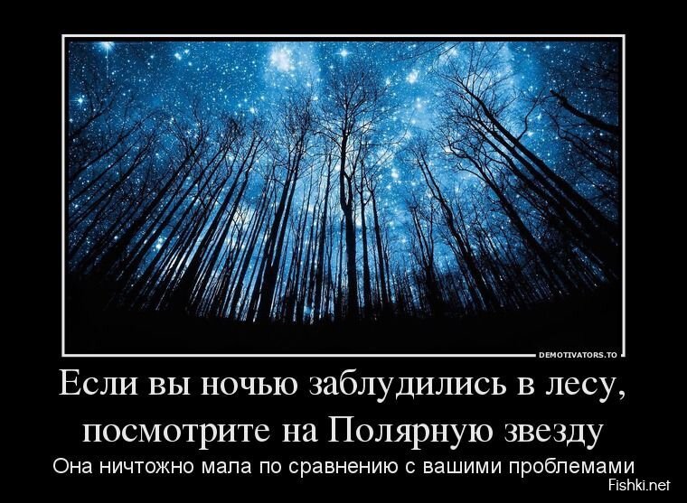 Смешной демотиватор от zubrilov за 20.05.2013 №156382