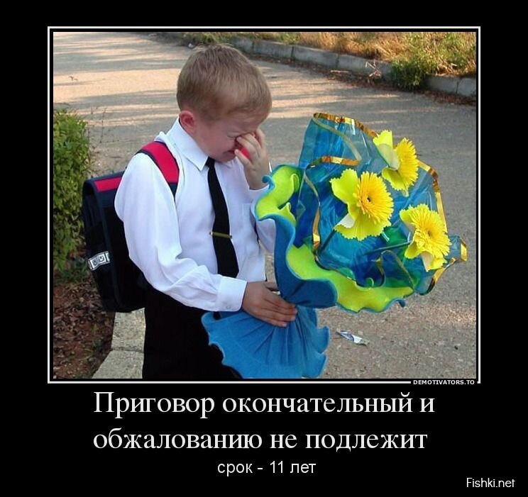 Смешной демотиватор от zubrilov за 20.05.2013 №156383