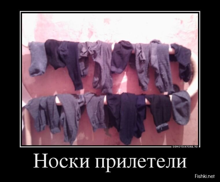Смешной демотиватор от zubrilov за 20.05.2013 №156388