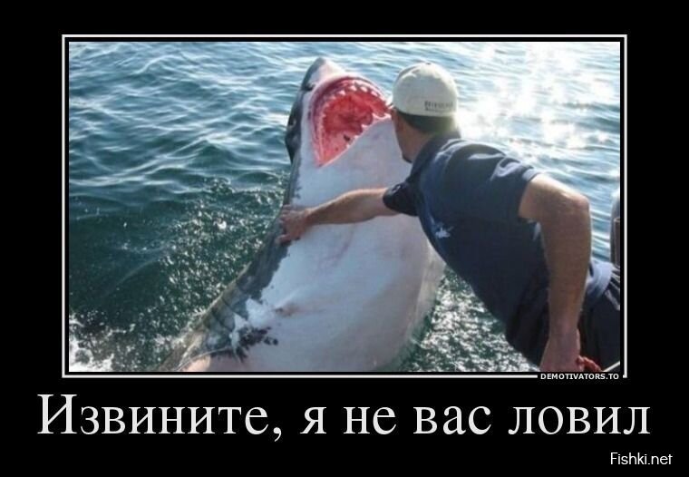 Смешной демотиватор от zubrilov за 20.05.2013 №156391