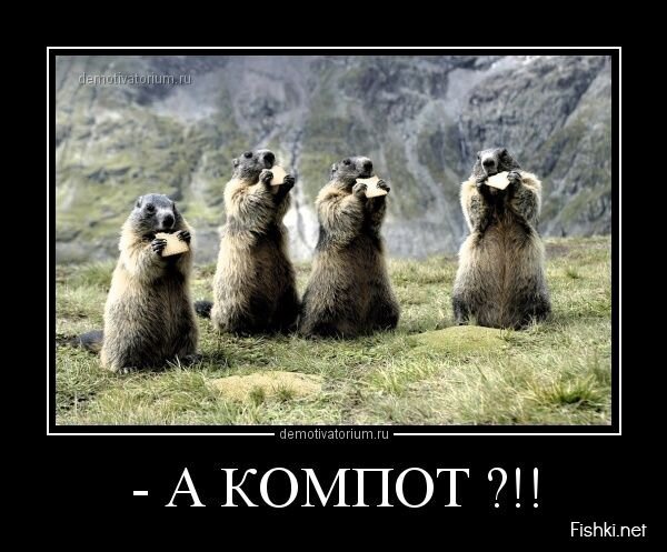 Демотиваторы, часть 379.