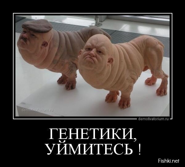 Демотиваторы, часть 379.