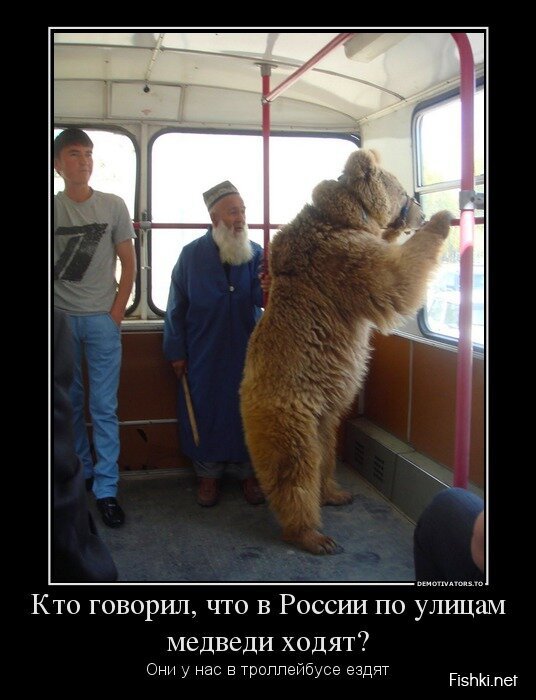 Смешной демотиватор от zubrilov за 22.05.2013 №156617