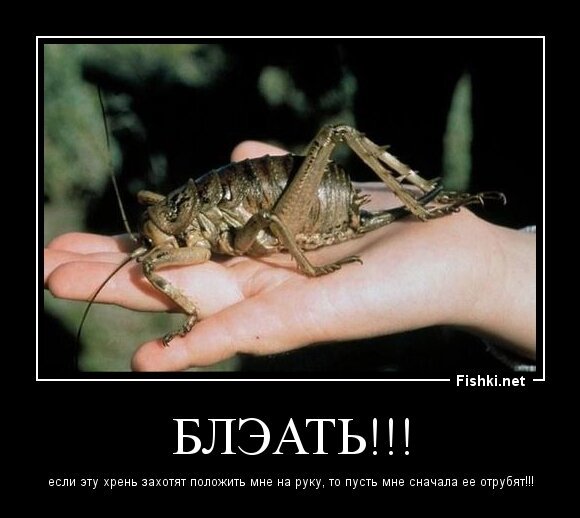 БлЭать!!!