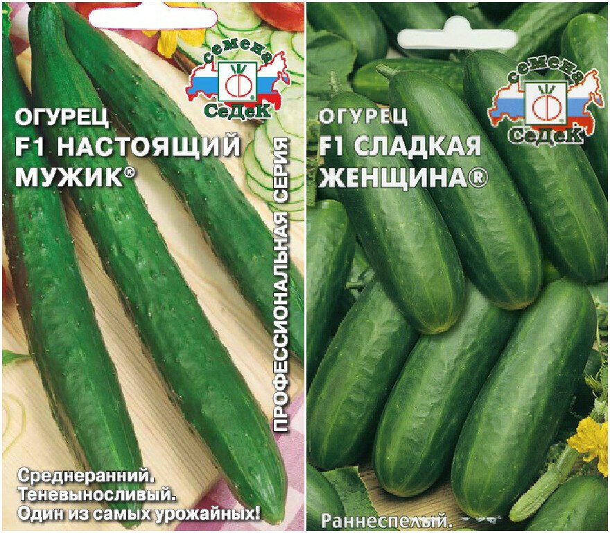 названия семян. смешные названия семян. мультяшные овощи. семена смешные названия. забавные названия семян.