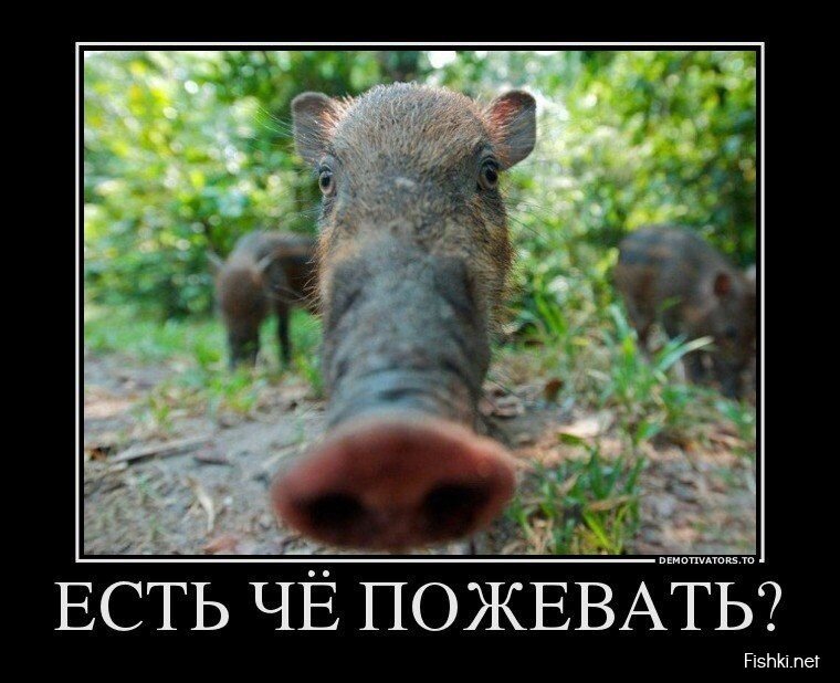 Демотиваторы, часть 381.
