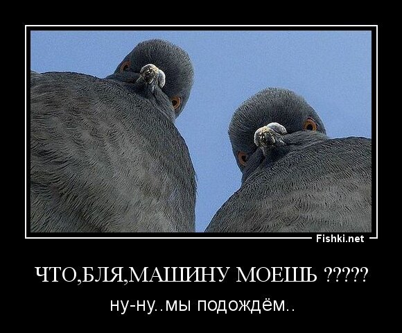 что,бля,машину моешь ?????