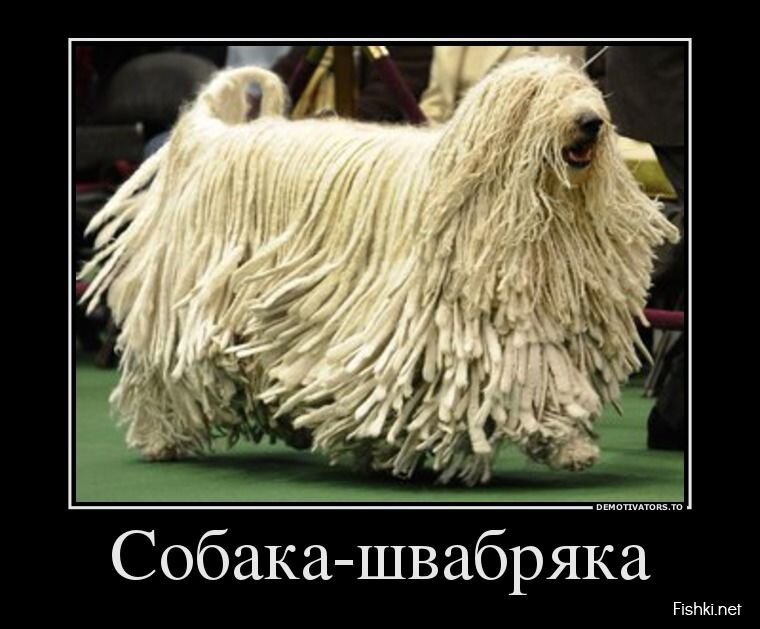 Смешной демотиватор от zubrilov за 27.05.2013 №157091