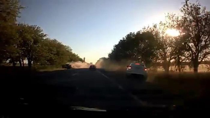 Видео дня