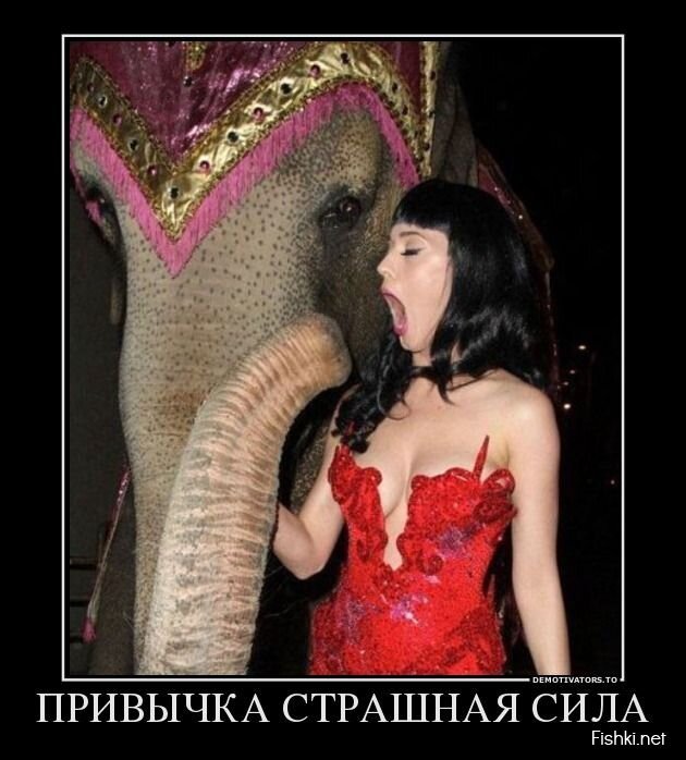 Демотиваторы, часть 383.