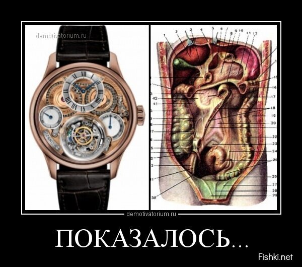 Смешной демотиватор от zubrilov за 29.05.2013 №157416