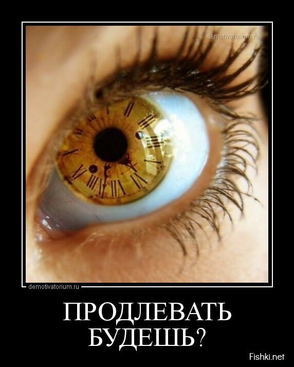 Смешной демотиватор от zubrilov за 29.05.2013 №157420