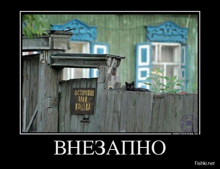 Смешной демотиватор от zubrilov за 03.06.2013 №157859