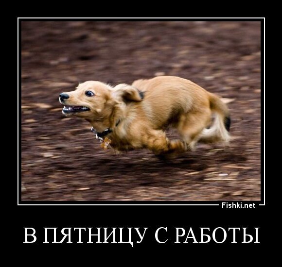 В ПЯТНИЦУ С РАБОТЫ