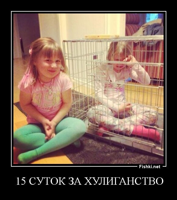 15 суток за хулиганство