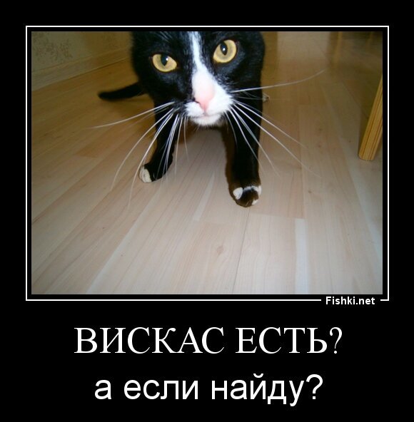 Вискас есть?