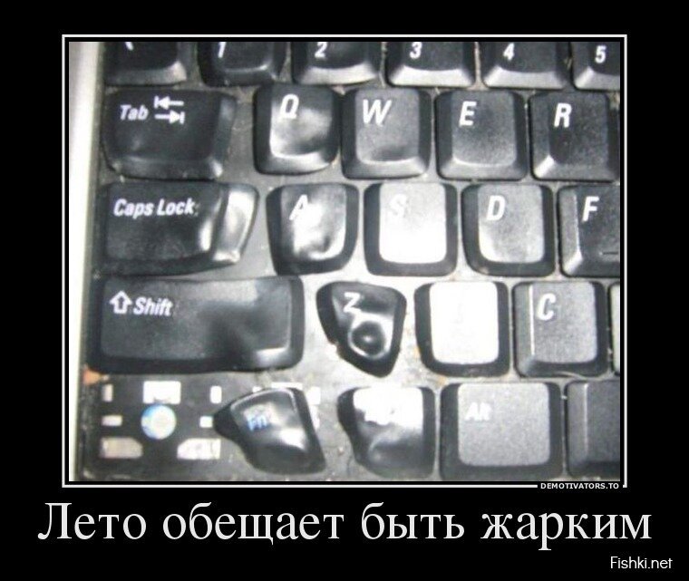 Смешной демотиватор от zubrilov за 05.06.2013 №158000