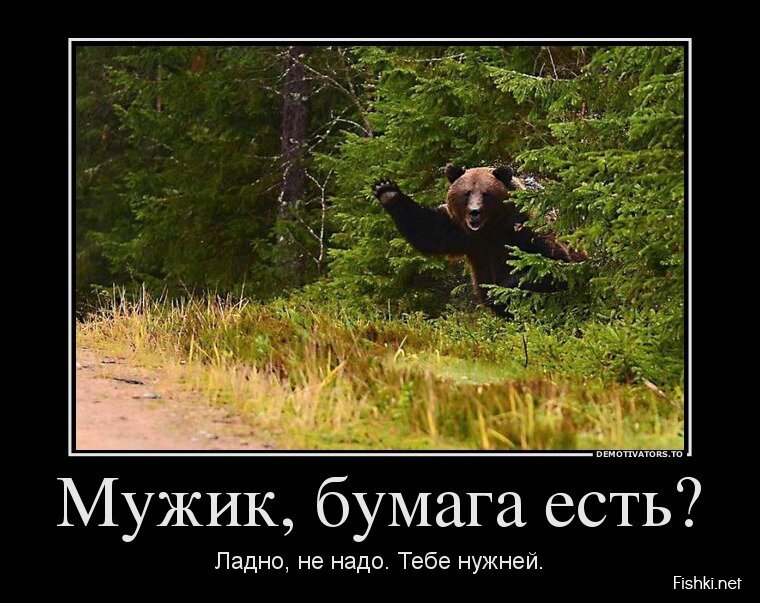 Смешной демотиватор от zubrilov за 05.06.2013 №158009