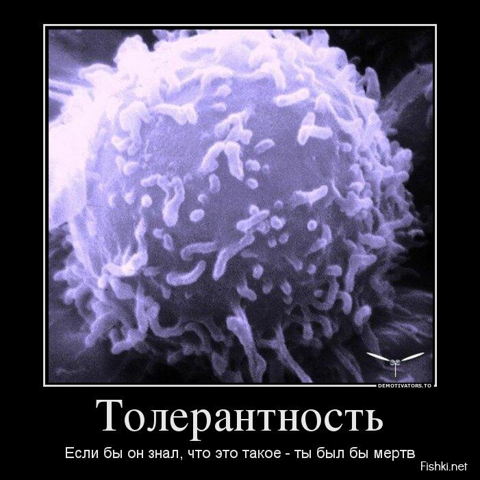 Смешной демотиватор от zubrilov за 05.06.2013 №158019