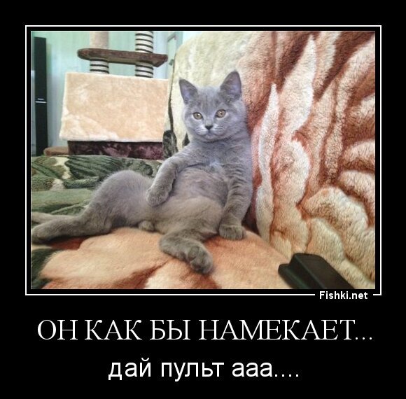 Он как бы намекает...