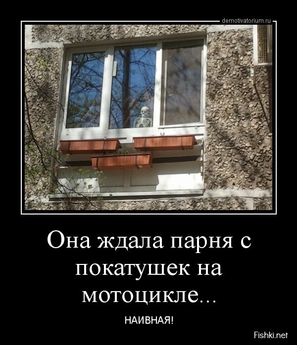 Смешной демотиватор от zubrilov за 07.06.2013 №158367