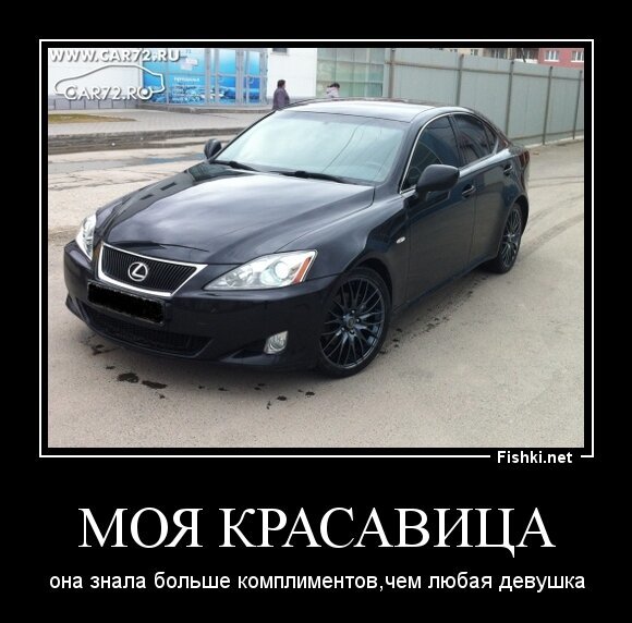 Моя красавица