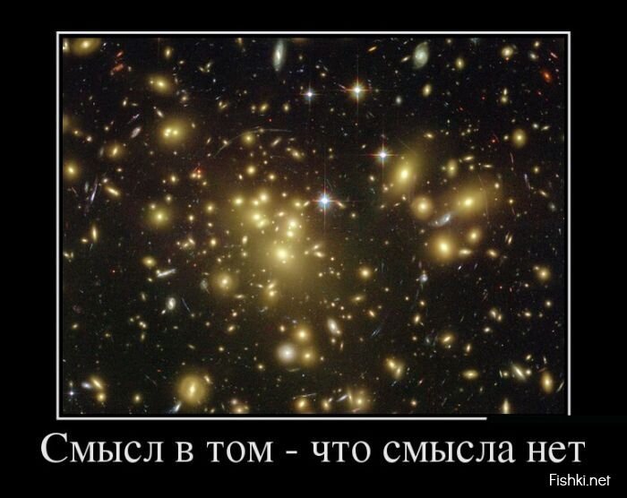 Смешной демотиватор от zubrilov за 10.06.2013 №158511