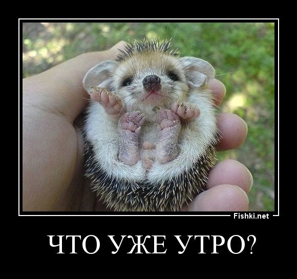  что уже утро?