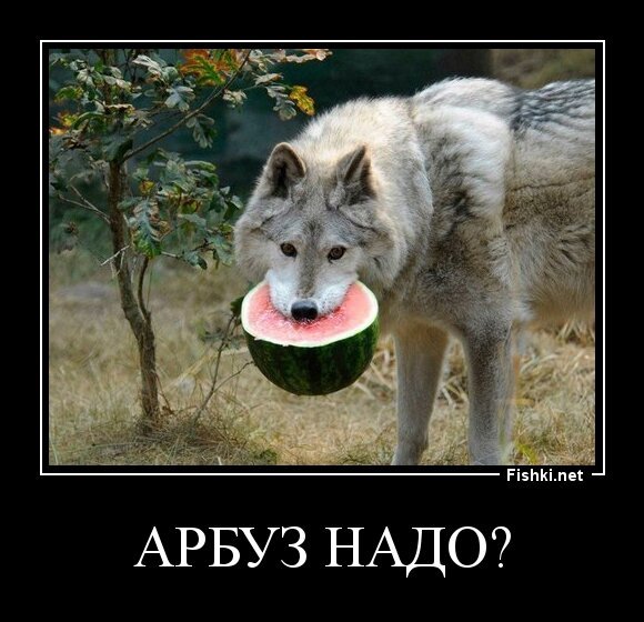 Арбуз надо?