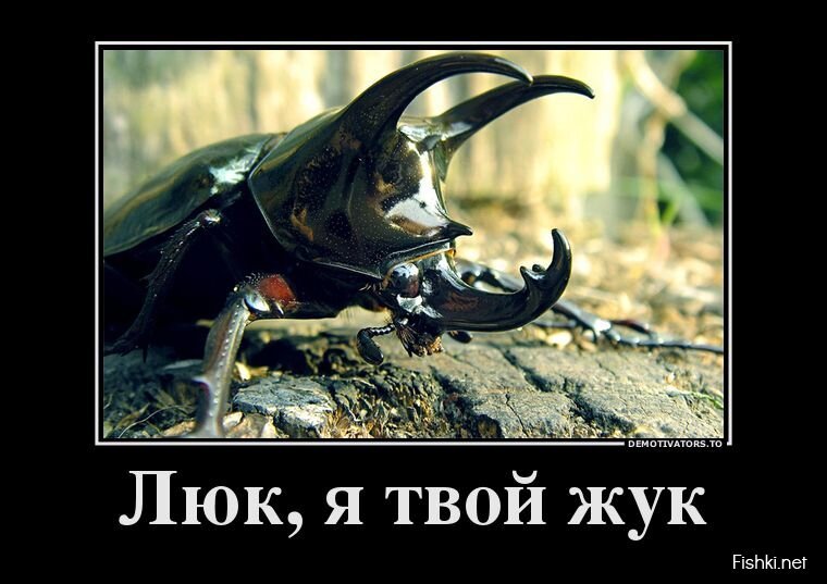 Смешной демотиватор от zubrilov за 14.06.2013 №158879