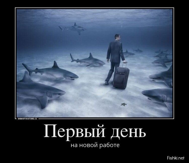 Смешной демотиватор от zubrilov за 14.06.2013 №158885