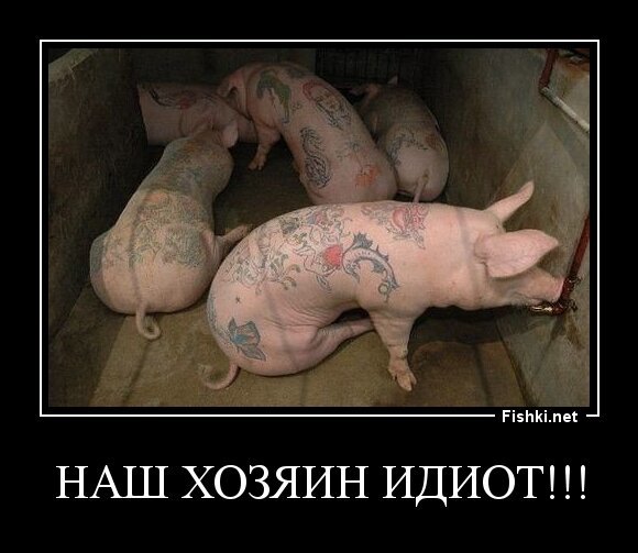 Наш хозяин идиот!!!