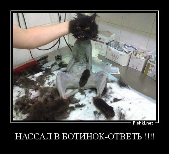 нассал в ботинок-ответь !!!!