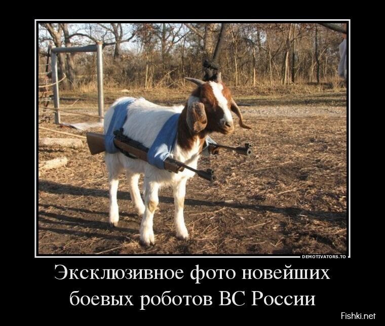 Смешной демотиватор от zubrilov за 19.06.2013 №159270