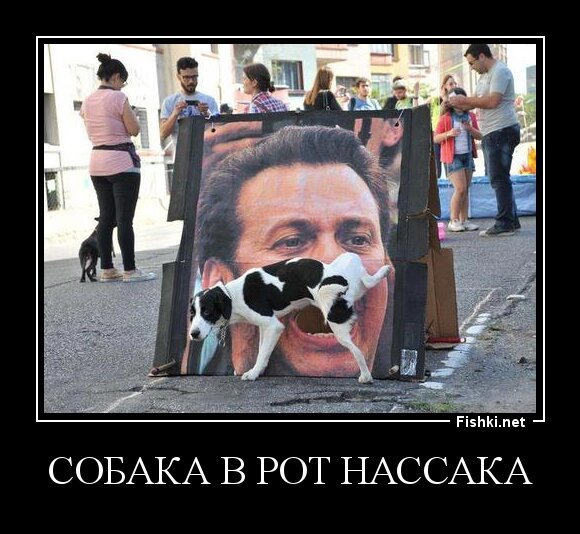 собака в рот нассака