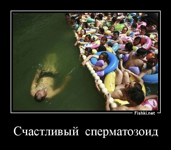 Счастливый  сперматозоид